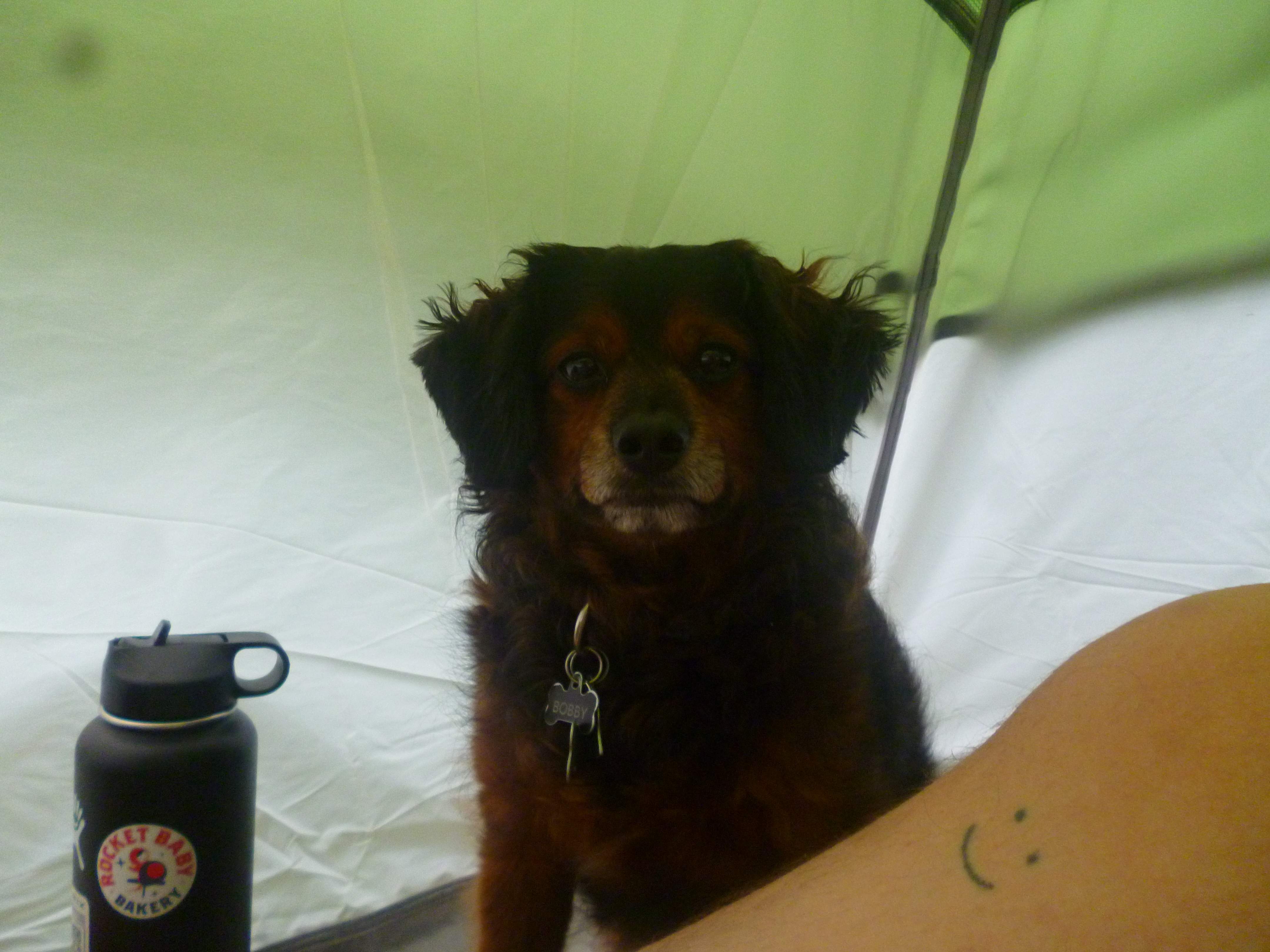 Bobby being oh so cutesy.