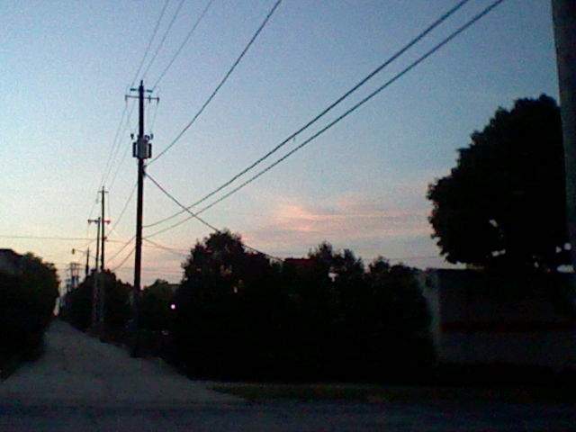 photo of power lines and tops of trees and houses in the early morning.